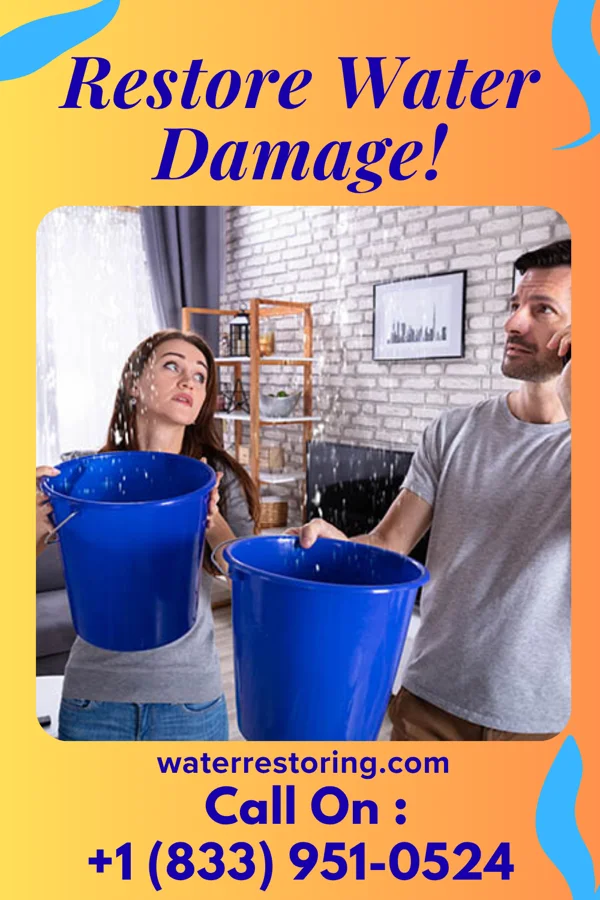 water restoration Imperial Water Removal & Sons Karns City