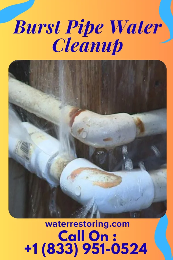 Burst Pipe Water Cleanup in Karns City, PA
