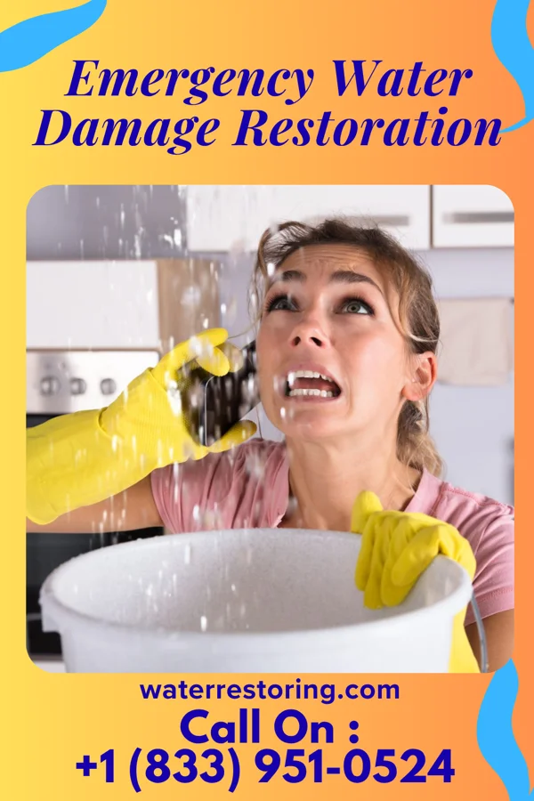 Emergency Water Damage Restoration in Karns City, PA
