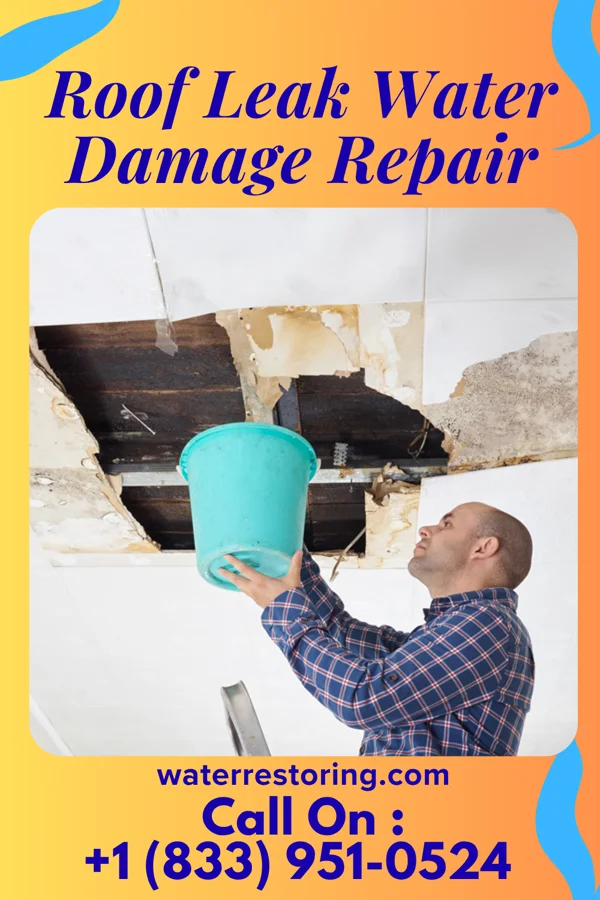 Roof Leak Water Damage Repair in Karns City, PA