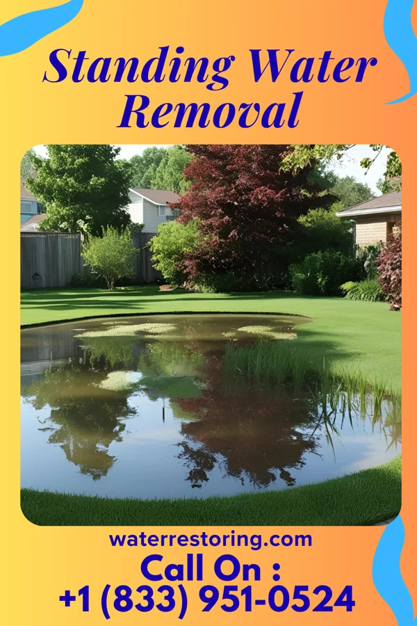 Standing Water Removal in Karns City, PA